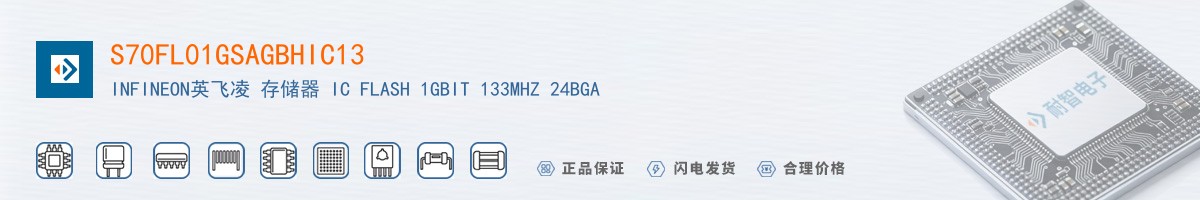 S70FL01GSAGBHIC13������